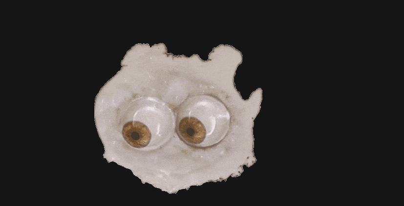 image of egg with eyes